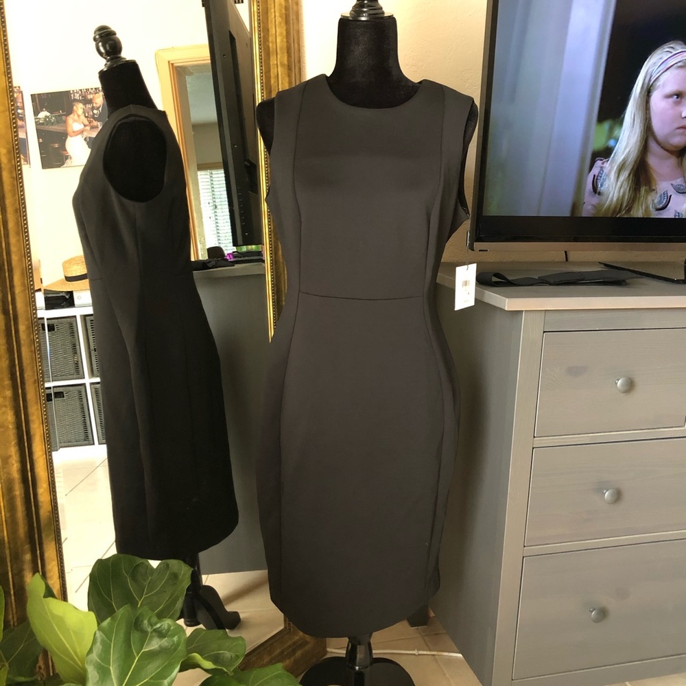 Calvin Klein Sheath Dress